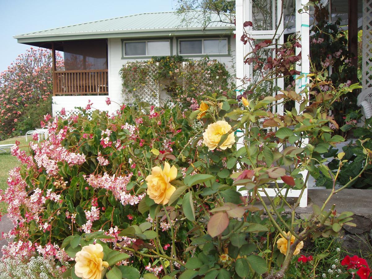 库克船长Belle Vue Kona Inc住宿加早餐旅馆 外观 照片